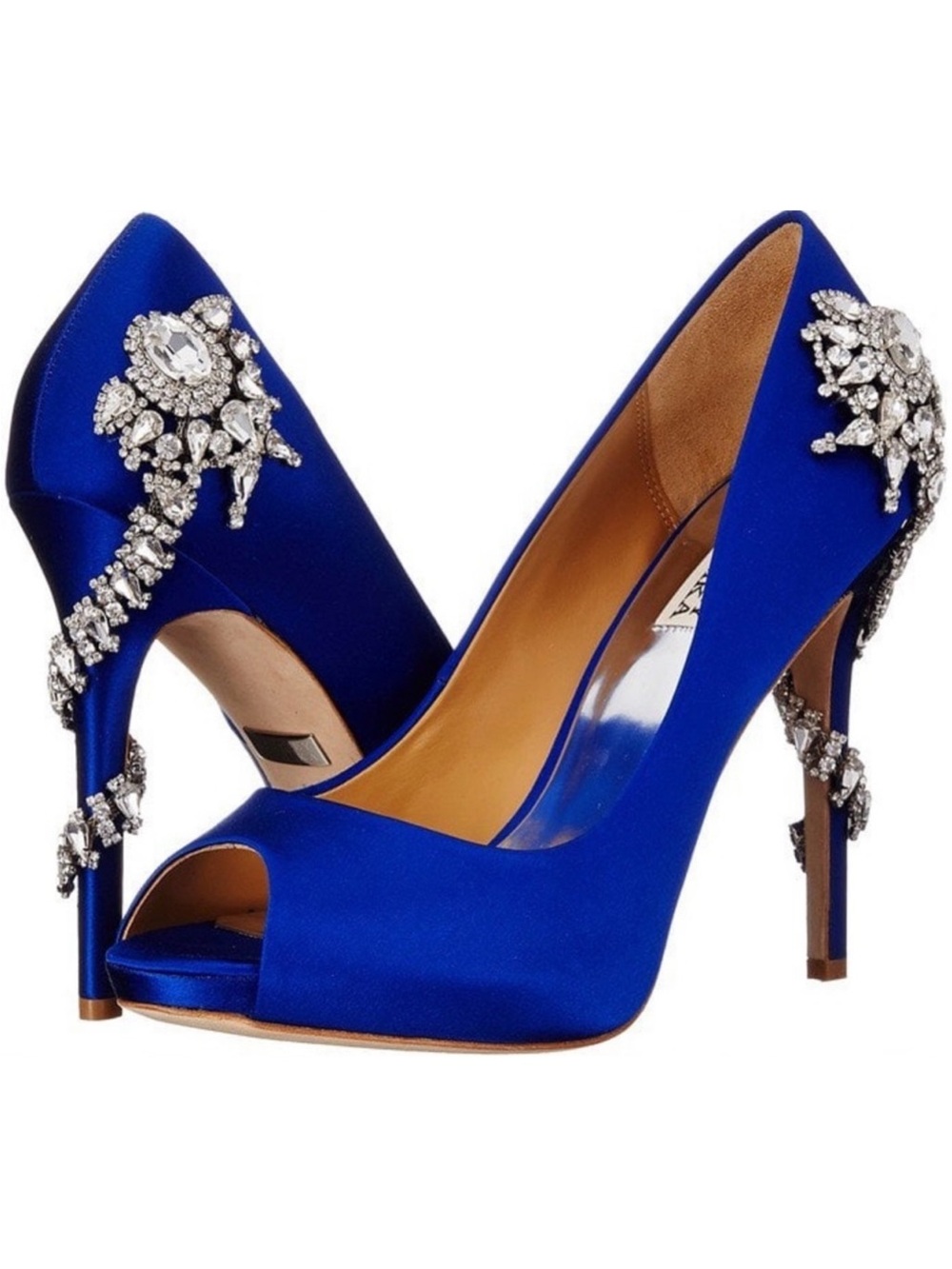 Like New ‘Royal’ Embellished Pump by Badgley Mischka